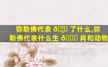 弥勒佛代表 🦄 了什么,弥勒佛代表什么生 🍀 肖和动物